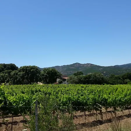 Su Pirastru